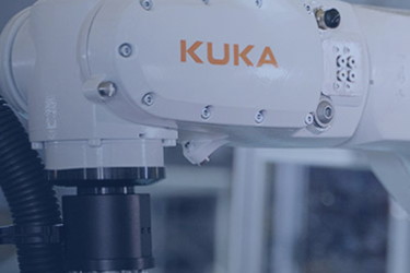 四川精加工项目设立的原则是什么？